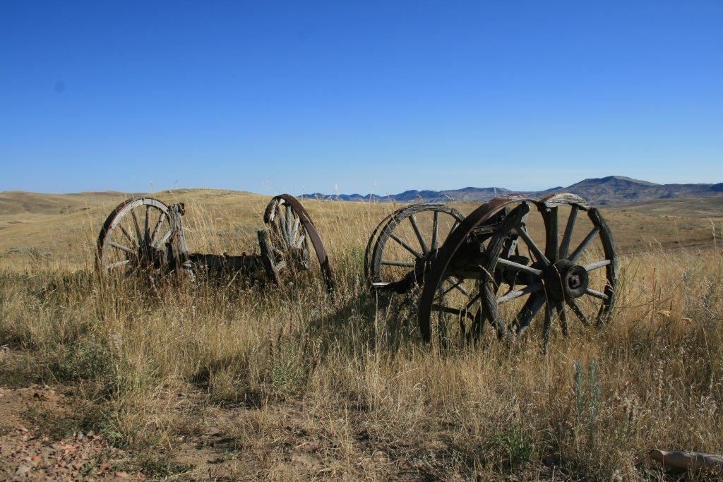 Wagon Wheel in plains